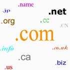 Domain name registration services